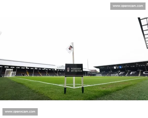 体育赛事精彩纷呈 专业平台带你畅享全球体育盛宴