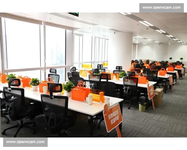 系统化体育投注技巧解析提升胜率与风险控制实战指南全流程方法论