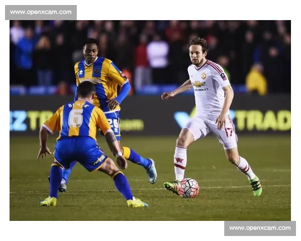 高清足球赛事直播APP下载指南畅享全球赛场精彩即时比分数据分析权威解说 - 副本 (117) - 副本 - 副本 - 副本 - 副本 - 副本 - 副本